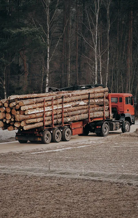 التصنيع والجودة